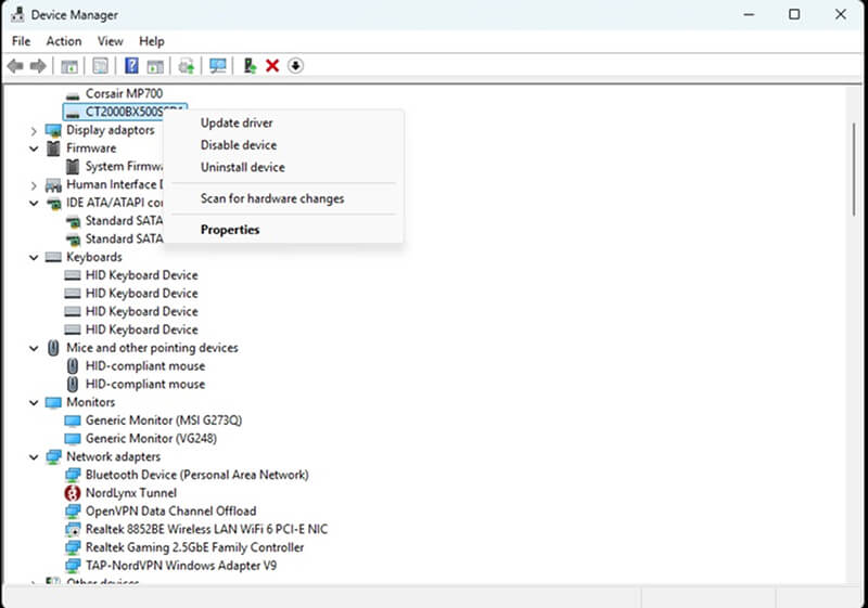 A screenshot of Device Manager on Windows.