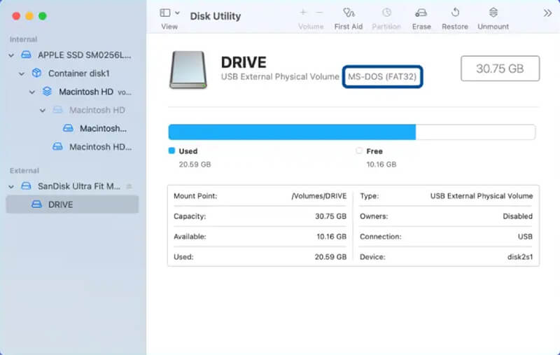 A graphic showing the file system in Disk Utility on macOS.