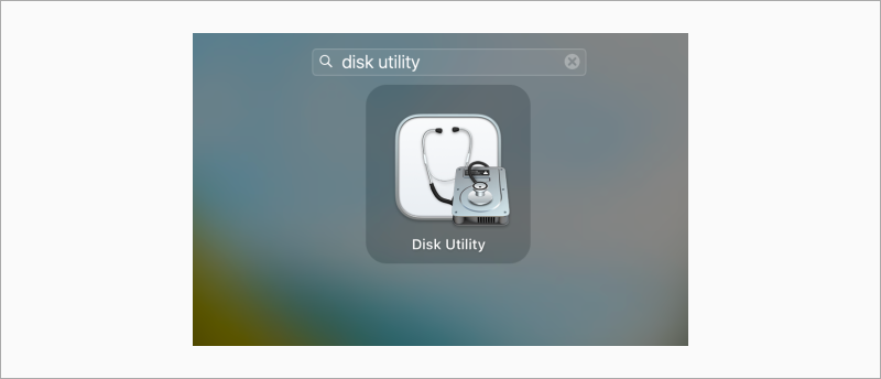 Search for Disk Utility in Launchpad